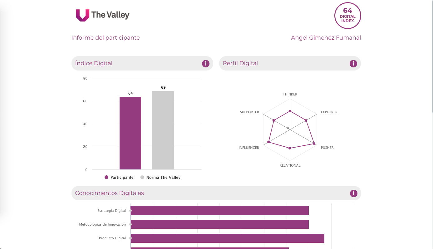 T3 assessment report